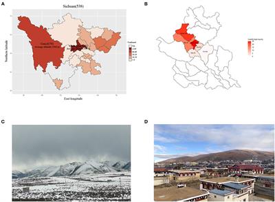 The Impact of Active Screening and Management on COVID-19 in Plateau Region of Sichuan, China